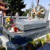 mộ đá hiện đại, mộ đá tam sơn, mộ bành đá, mộ hậu bành, khu lăng mộ đá